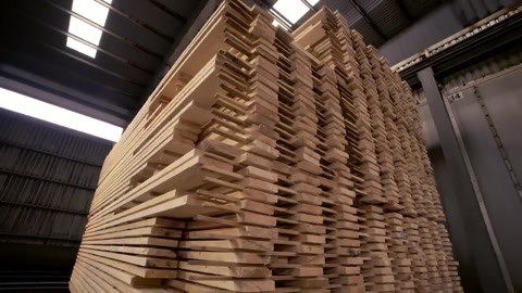 探訪瑞典木材加工廠 揭秘高品質“地友木方”的北歐源頭
